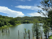 英国男子整理母亲遗物发现彩票,去兑奖真中了!他称是她最后礼物